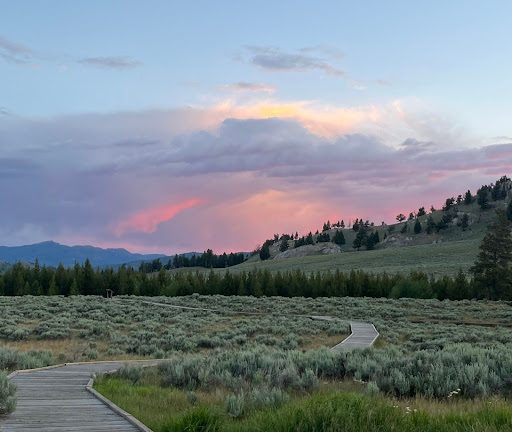 Forces of the Northern Range Interpretive walk at first light