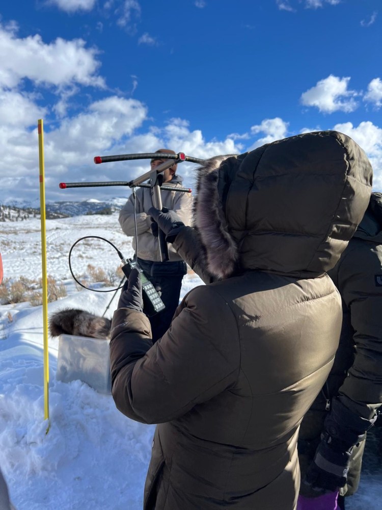 Field presentations from members of the Yellowstone Wolf Project, allow our participants the opportunity to learn about radio telemetry. Photo by YW Lead Naturalist Laura L.