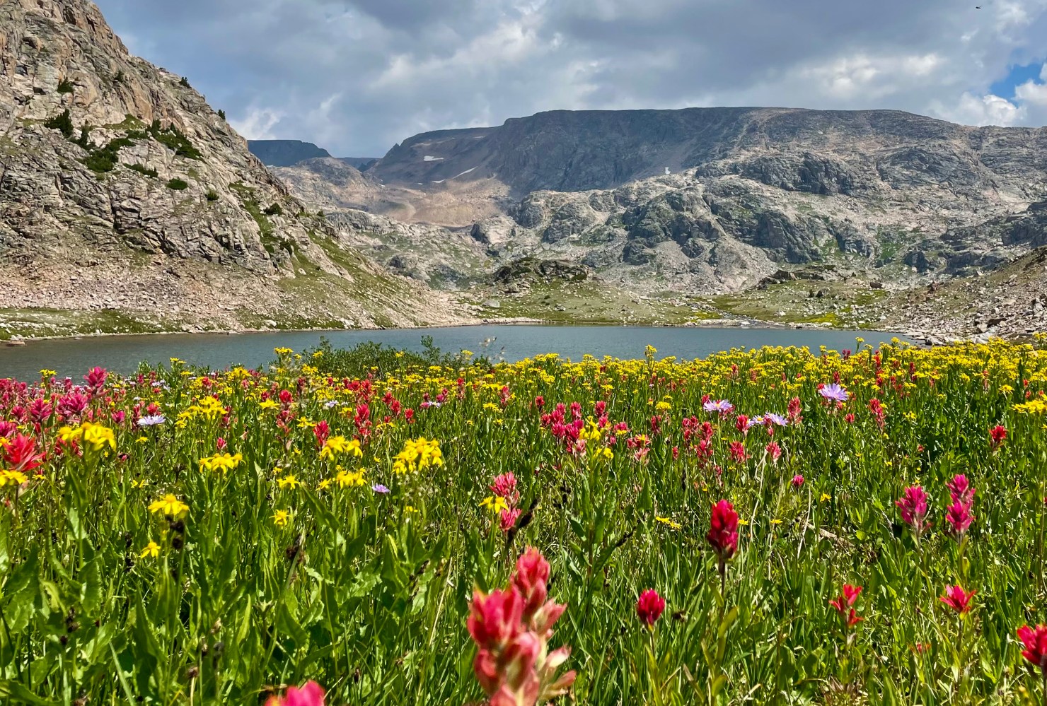 a flower is standing in front of a mountain